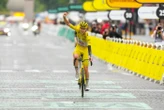 Tour de France : la Slovénie fait le forcing pour obtenir son Grand Départ en 2029