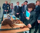 2 millions d’euros de dégâts après l’incendie de 2023 : l’Office français de la biodiversité de Brest rouvre enfin