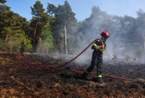 Pays-Bas : des incendies ravagent des sites militaires, la France et l’Allemagne envoient des renforts