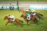 Arrivée du quinté du jeudi 28 août à Deauville : Chica de Ciudad d’un nez
