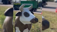 « Les stars sont de retour » : sept ans après leur saccage, les statues retrouvent enfin le fameux Rond-point des vaches près de Rouen