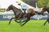 Arrivée du quinté du jeudi 18 juin à ParisLongchamp : Cosy Bear trouve son jour