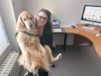 « Ça détend l’atmosphère » : à la mairie de Pomponne, les agents peuvent venir travailler avec leur chien