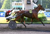 Arrivée du quinté du vendredi 20 juin à Vincennes : Hold Up des Ventes, une première et des heureux