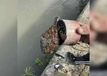 « Elle était encore active » : un tiktokeur pêche une grenade datant de la Première Guerre mondiale dans le Gard