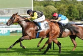 Arrivée du quinté du jeudi 4 septembre à ParisLongchamp : Les outsiders à la fête