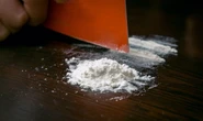 74 kg de cocaïne saisis dans un pavillon de Dammartin-en-Goële