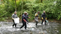 Des puces électroniques pour traquer les poissons du Loing : une étude inédite dans le Loiret