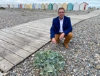 « Si vous y touchez, vous allez m’entendre… » : la station balnéaire de Cayeux-sur-Mer envahie par un chou marin protégé