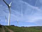 La commune de Mainneville autorisée par la justice à être actionnaire d’un projet de parc éolien... qui ne se fera pas
