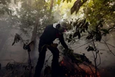 Hauts-de-Seine : un feu ravage 2 000 mètres carrés en forêt de Meudon