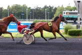 Arrivée du quinté du vendredi 5 juin à Vincennes : La sagesse d’Idole Jallerie