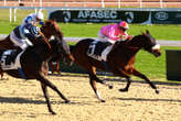 PMU - Arrivée du quinté du lundi 13 janvier à Cagnes-sur-Mer : Make A Wish ouvre le bal