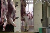 Cause animale : des activistes ont bloqué simultanément six abattoirs en France et aux Pays-Bas
