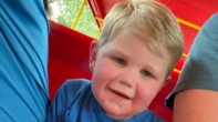 Un petit Américain de 2 ans piqué plus de 150 fois par des guêpes jaunes alors qu’il jouait dans son jardin