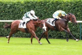 Arrivée du quinté du samedi 20 août à Chantilly : Baileys Bachelor s’impose sur son parcours de prédilection