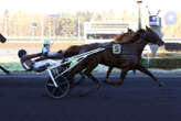 PMU - Arrivée du quinté du mardi 14 janvier à Paris-Vincennes : Chestnut ouvre son compteur en France