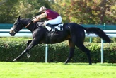 Arrivée du quinté du dimanche 12 octobre à Auteuil : Aulko repousse ses limites et rend heureux son entourage