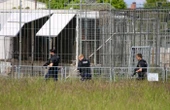 « Il y a eu plusieurs coups de feu » : un tigre abattu par la police allemande après s’être échappé d’un enclos