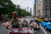 À New York, un jeune homme meurt dans un accident de calèche à Central Park