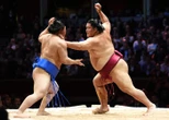 Tournoi de sumo de Paris : mais pourquoi n’y a-t-il pas de catégories de poids ?