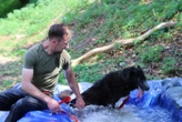 Canicule : à la SPA de Concarneau, les chiens ont leur piscine !