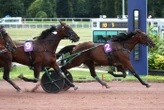 Arrivée du quinté du mercredi 23 juillet à Enghien : Global Concept, une première réussie