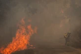 Incendies en Espagne : 30 000 ha supplémentaires partis en fumée en 24 heures, « des heures difficiles à venir »