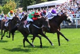 Arrivée du quinté du samedi 2 août à Clairefontaine : Johnny Hammer fait parler de lui