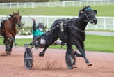 Arrivée du quinté du lundi 6 octobre à Enghien : Insight Spoken en hommage à Philippe Deroyand