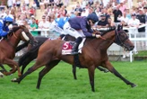 Arrivée du quinté du lundi 18 août à Clairefontaine : Maia Star finit la plus vite