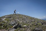 Pyrénées-Orientales : des scientifiques mesurent l’impact du changement climatique sur la biodiversité à 2 400 m d’altitude