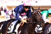 Arrivée du quinté du mardi 7 juillet à Chantilly : Zelzara ou la forme Barberot