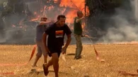 Incendie monstre à Fontainebleau : plus de 1000 hectares de forêt ravagés, du jamais-vu