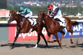 Arrivée du quinté du mardi 12 août à Deauville : Thinthread enlève le Prix le Parisien