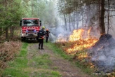 « Dix hectares, ce n’est pas fréquent » : les pompiers mobilisés sur un impressionnant feu de forêt dans l’Oise