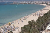 « Je n’avais jamais rien vu de tel » : une plage évacuée à Majorque après l’attaque d’un mystérieux poisson sur une octogénaire