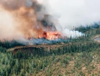 Incendie en cours à Fréjus, un camping et des logements en cours d’évacuation