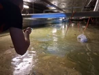« La quantité était phénoménale » : 10 000 m3 d’eau inondent le vide sanitaire de l’hôpital de Compiègne