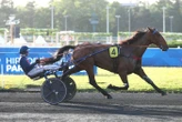 Arrivée du quinté du vendredi 12 juin à Paris-Vincennes : Jolie Star brille de nouveau !