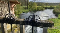 « On entend à nouveau l’eau couler» : en Eure-et-Loir, la restauration modèle d’un cours d’eau dégradé