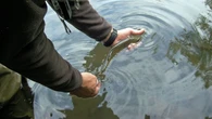 La pêche reste ouverte dans le Puy de Dôme malgré des niveaux d’eau critiques : « Les poissons ne s’alimentent plus »
