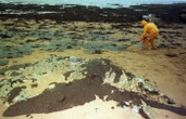 En Bretagne, plus de fuites de pétrole sur l’épave de l’Erika, les fissures ont été rebouchées