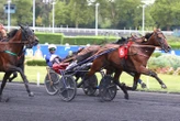 Qualifications aux Critériums des 3, 4 et 5 Ans : Keep Going au top, Jean-Michel Bazire déploie ses « L »…