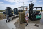 « C’est un non-sens économique de s’en passer » : face au changement climatique, des huîtres climatisées à Marennes-Oléron
