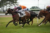 Arrivée du quinté du lundi 8 juin à Angers : Ram Sea offre un premier quinté en plat à Léo-Paul Bréchet