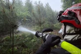 Canicule : près de 100 hectares de forêt ont brûlé ce mardi dans le Maine-et-Loire