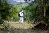 La Réunion : cinq nouveaux morts imputés au chikungunya