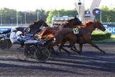 Arrivée du quinté du vendredi 16 mai à Paris-Vincennes : le carton plein de Matthieu Abrivard