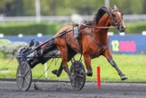Arrivée du quinté du samedi 13 septembre à Vincennes : Lancier du Goutier remporte le Critérium des 4 Ans